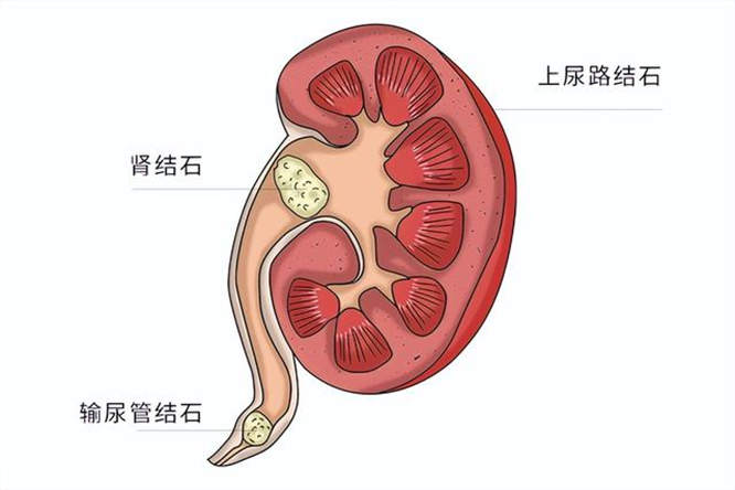 图片细节